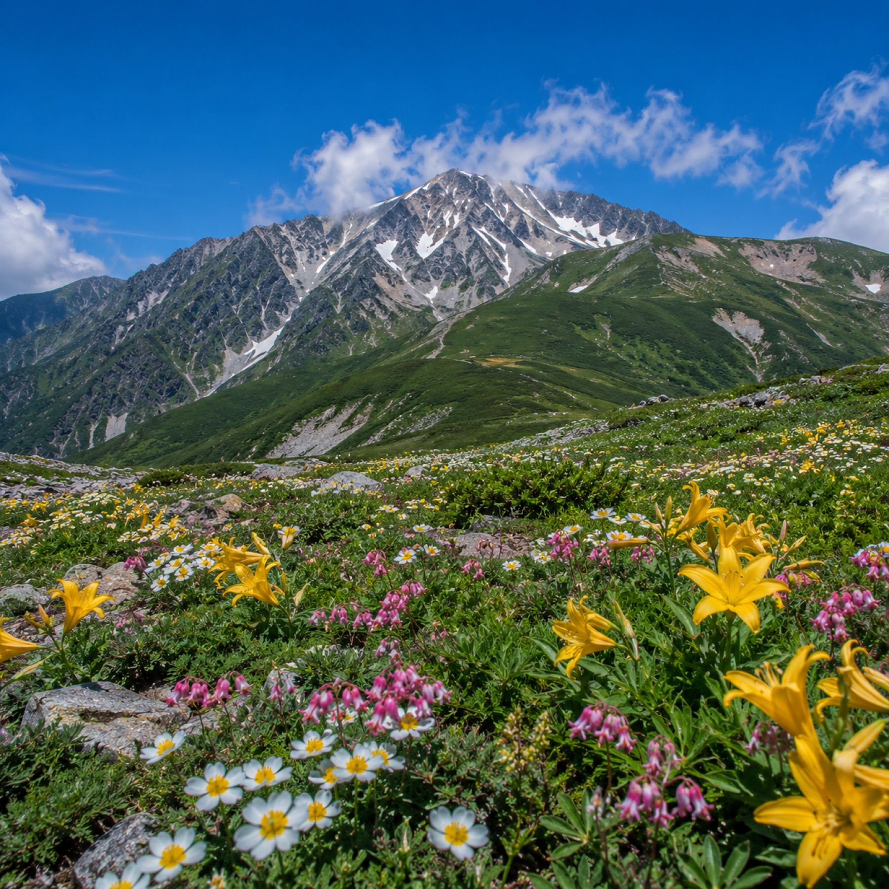白馬村・夏の山
